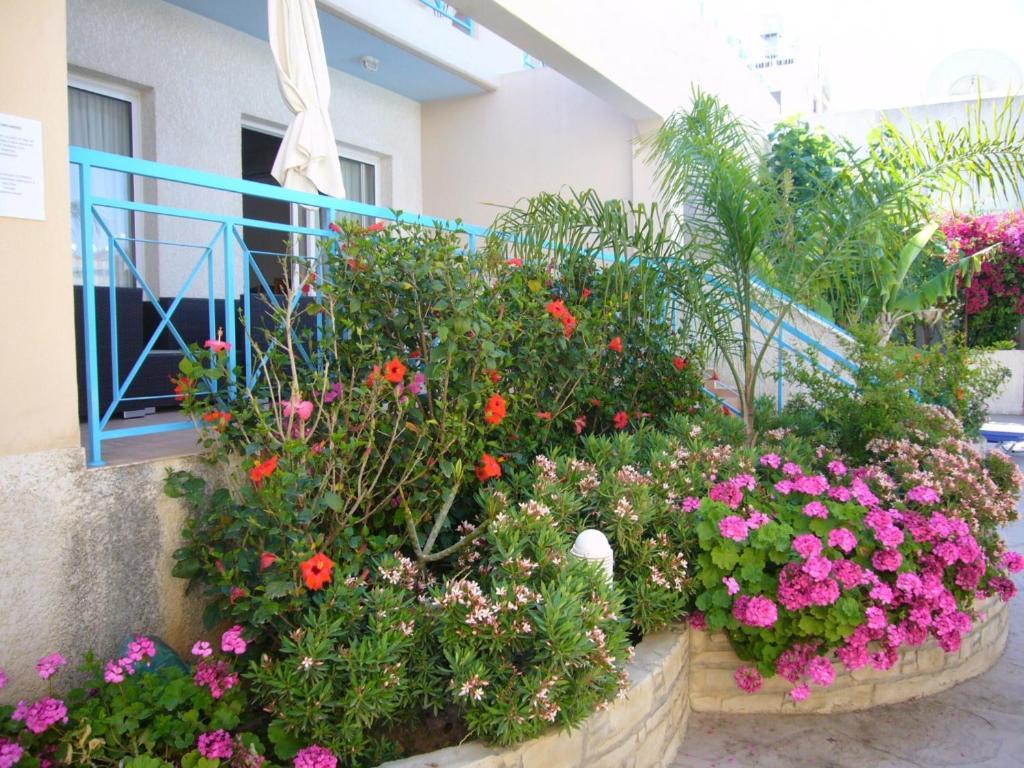 Apartamento Blue Oasis Gardens Limassol Exterior foto