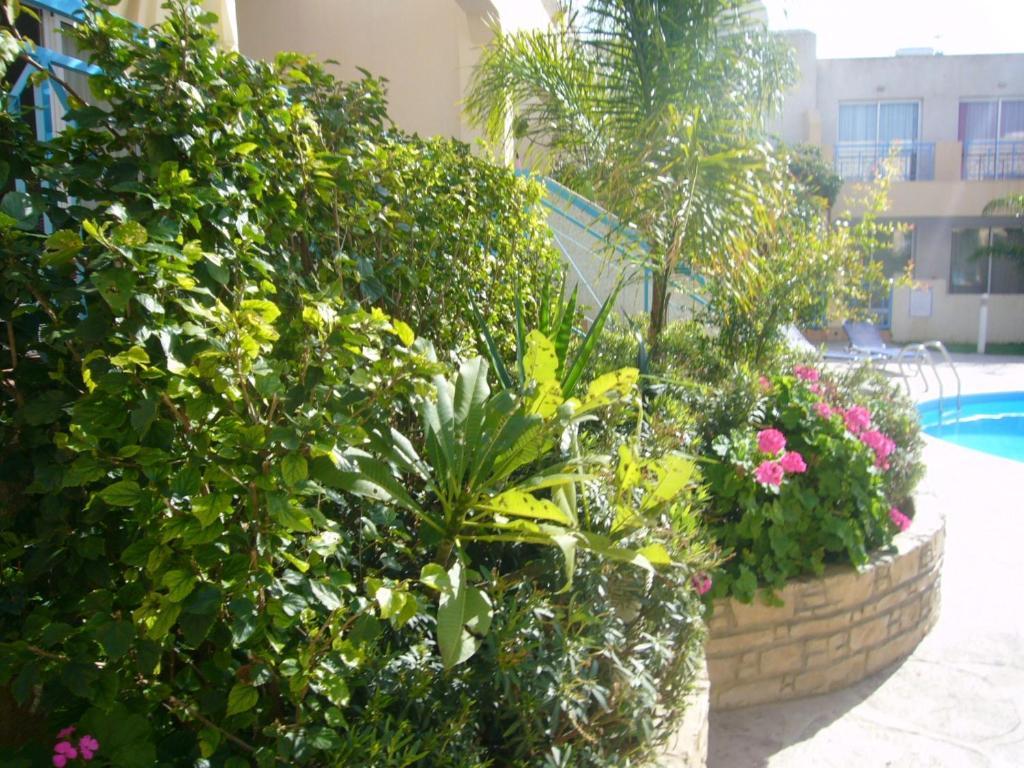 Apartamento Blue Oasis Gardens Limassol Exterior foto